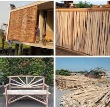 Kayu dolken atau kalau di kalimantan disebut kayu gelam banyak kegunaannya. Kekurangan Dan Kelebihan Kayu Gelam Navigasi Info
