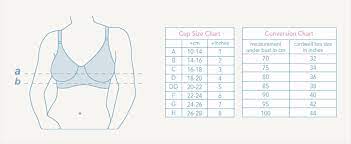 The Perfect Nursing Bra - Carriwell