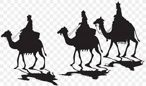 The advantage of transparent image is that it can be used efficiently. Clip Art Vector Graphics Image Silhouette Png 8000x4700px Silhouette Arabian Camel Black And White Camel Camel