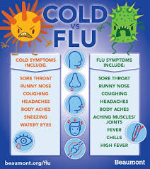 Pin On Beaumont Infographics
