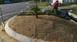 Rumput juga seringkali ditanam sebagai salah satu tanaman hias, tanaman obat, dan pakan ternak. 5 Cara Menanam Rumput Jepang Agar Tumbuh Dengan Baik Ilmubudidaya Com