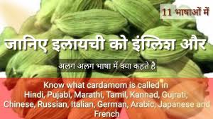 Elaichi Ko English Mein Kya Bolte Hain à¤à¤² à¤¯à¤ à¤ à¤ à¤ à¤² à¤¶ à¤® à¤ à¤¯ à¤à¤¹à¤¤ à¤¹ Elaichi In English Youtube Cosmic nutracos, founded by experienced industry professionals, is an entrepreneurial venture in the wellness and skincare space, to provide natural innovative solutions to everyday health and personal care related. elaichi ko english mein kya bolte hain à¤à¤² à¤¯à¤ à¤ à¤ à¤ à¤² à¤¶ à¤® à¤ à¤¯ à¤à¤¹à¤¤ à¤¹ elaichi in english