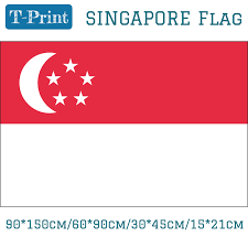 Bendera singapura adalah bendera negara singapura. 15 21cm 90 150cm 60 90cm 30 45cm Mobil Bendera Menggantung Bendera Singapura Bendera Nasional Bendera Spanduk Aksesoris Aliexpress