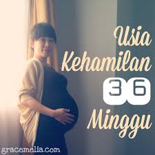 Sakit di bahagian kelangkang kerana bayi menekan. Tanda Nak Bersalin 36 Minggu Malaysian Today