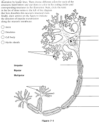 We did not find results for: Pdf The Organization Of The Nervous System Semantic Scholar