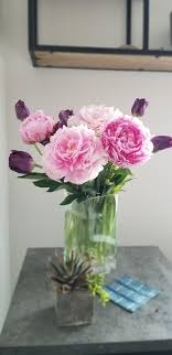 Here is our new price list for trader joe's with over 1000 items to search from. Peonies And Tulips Trader Joe S Has The Best Flowers At Such A Good Price Traderjoes