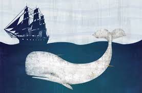 Resultado de imagem para moby dick atividades