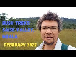 Image result for Platycoryne buchananiana