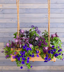 Search only for window boxs 30 Bright And Beautiful Window Box Planters Midwest Living