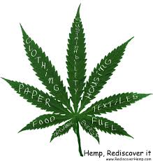 Cannabis Leaf Nutrient Deficiency Chart Bedowntowndaytona Com