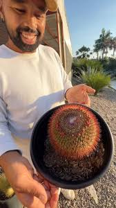 How can you resist this?!