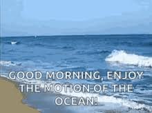 Morning Beach Gifs Tenor Nature good morning nature morning morning good nature good high definition picture flower macro water sun landscape blue sky trees scenery sky tree beautiful natural scenery grass falcon bird nature. morning beach gifs tenor