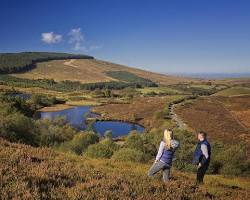 Immagine di Sperrin Mountains