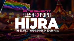 Top 3 Trans TikTok Stars - Fleshbot