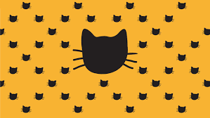 Zoom Background Cats Cat Background Pet Supermarket Pets