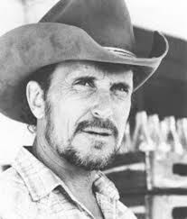 Wings of Dove' a soothing hymn