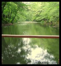 Belgrade forest is named for the fact that during the 16th century, sultan suleyman the magnificent resettled the area with serbs in order for them to guard these crucial water supplies. Belgrade Forest Explore Belgrade Forest The Forest Is No Flickr