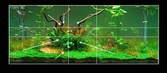 The approach that most competition aquascapers use is to create steep slopes is by simply layering rock/wood thickly. Easy Life Aquascaping Aga Easy Life