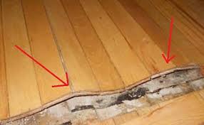 صرير الباركيه ماذا تفعل لحل مشكلة صرير صرير الباركيه لماذا وماذا تفعل