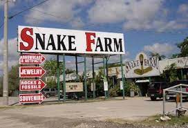Animal World And Snake Farm Zoo New Braunfels Texas Snake Farm Snake Farm