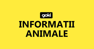 Curiozitati Animale Lucruri Pe Care Nu Le Stiati Despre Animale Goki Ro