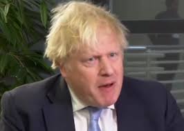 Margaret Alipoor (@MargaretAlipoo1)