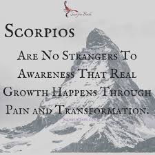Pin On Them Scorpio S