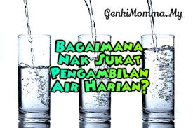 Cara Kira Minum Air Ikut Berat Badan