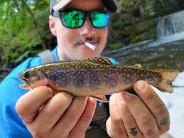 Any trout fishing tips for Little Brook by Westport?