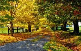 Fonds D Ecran Gratuits Sur Pc Astuces Paysage Automne Paysage Photos Paysage