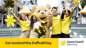 Casi house, unit 2/25 vanderlin drive, wanguri, nt 0810. Daffodil Day 28 August