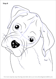 Check spelling or type a new query. Drawing Line Drawing Boxer Dog Face Outline