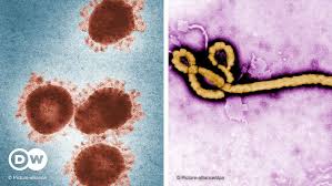 Ebola, also known as ebola virus disease (evd) or ebola hemorrhagic fever (ehf), is a viral hemorrhagic fever in humans and other primates, caused by ebolaviruses. Coronavirus The Lessons To Learn From Ebola Africa Dw 13 03 2020