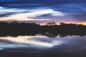 Profile for Marc Bacon, Wildlife and Landscape Photographer