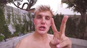 Five Most Hilarious Jake Paul Vines