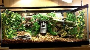 Pin By Ricquel Dejona On Snake Love Snake Terrarium Reptile Terrarium Snake Enclosure