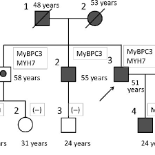 Additionally, your parents will come above you while their siblings will be drawn next to them, following the same pattern as of your siblings, called as your aunts and uncles. The Family Tree Circle Female Square Male Symbols In Gray Download Scientific Diagram