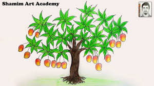 How To Draw Mango Tree Youtube The images above represents how your finished drawing is going to look and the steps involved. how to draw mango tree