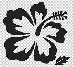 Maybe you would like to learn more about one of these? Hawaii Flower Drawing Png Clipart Black And White Branch Butterfly Drawing Flora Free Png Download