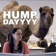 Instead, it is filled with fat (up to 36 kg, or 80 lbs) that is metabolized for energy and water. A Drink For Tomorrow Happy Wednesday In Honor Of Hump Day Here S A Fun Water Fact About Camels From National Geographic Well Adapted To Harsh Climates Camels Are Famous For Their