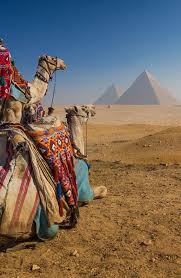 We heard of camel drivers and other eclectic characters, but we had no idea about guards. Pin On Cairo Tours