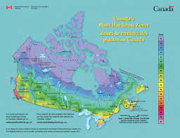 Quebec, nova scotia, new brunswick, prince edward island, new foundland and labrador. What S Your Planting Zone Usda Plant Hardiness Zone Map The Old Farmer S Almanac