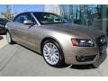Image result for Aurum Beige 2010 A5