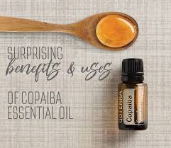 How to use copaiba oil you can apply copaiba essential oil topically for things like inflammation, pain, or wound healing. The Surprising Benefits And Uses Of Copaiba Oil