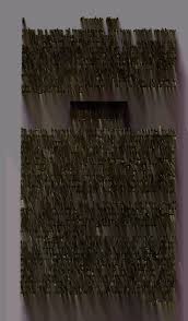 Image result for Trichopteryx elegantula