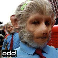 Odd Studio S Indian Rhesus Monkey Special Effects Makeup Alien Concept Art Prosthetic Makeup