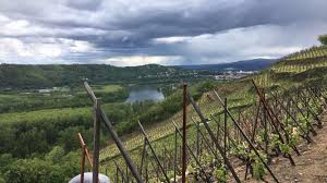 Domaine Patrick Et Christophe Bonnefond Cote Rotie Condrieu En 2020 Condrieu Le Coteau Rhone