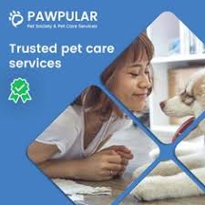 Dental disease is painful and may make it difficult for your senior pet to eat. 30 Pawpular Pet Society Pet Care Services Ideas Pet Care Pets Pet Sitting Services