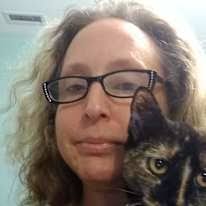 Montford Point, Jacksonville, NC Roommates & rooms