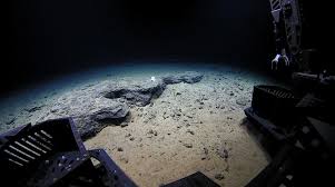 The Mariana Trench, 7 Miles Below Sea Level, Is Abuzz With Human Noise -  Bloomberg